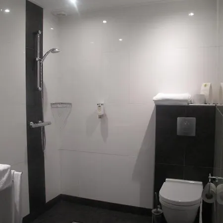 雨果·德弗里斯公园酒店