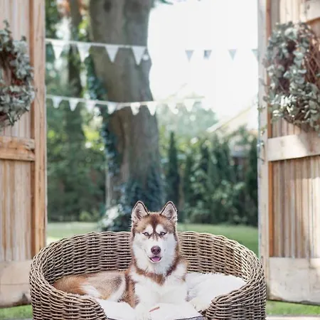 Parkhotel Hugo De Vries Hotel Lunteren