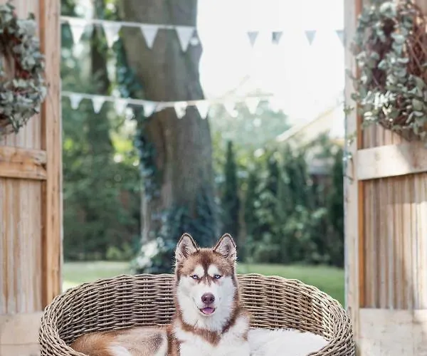 Parkhotel Hugo De Vries Hotel Lunteren